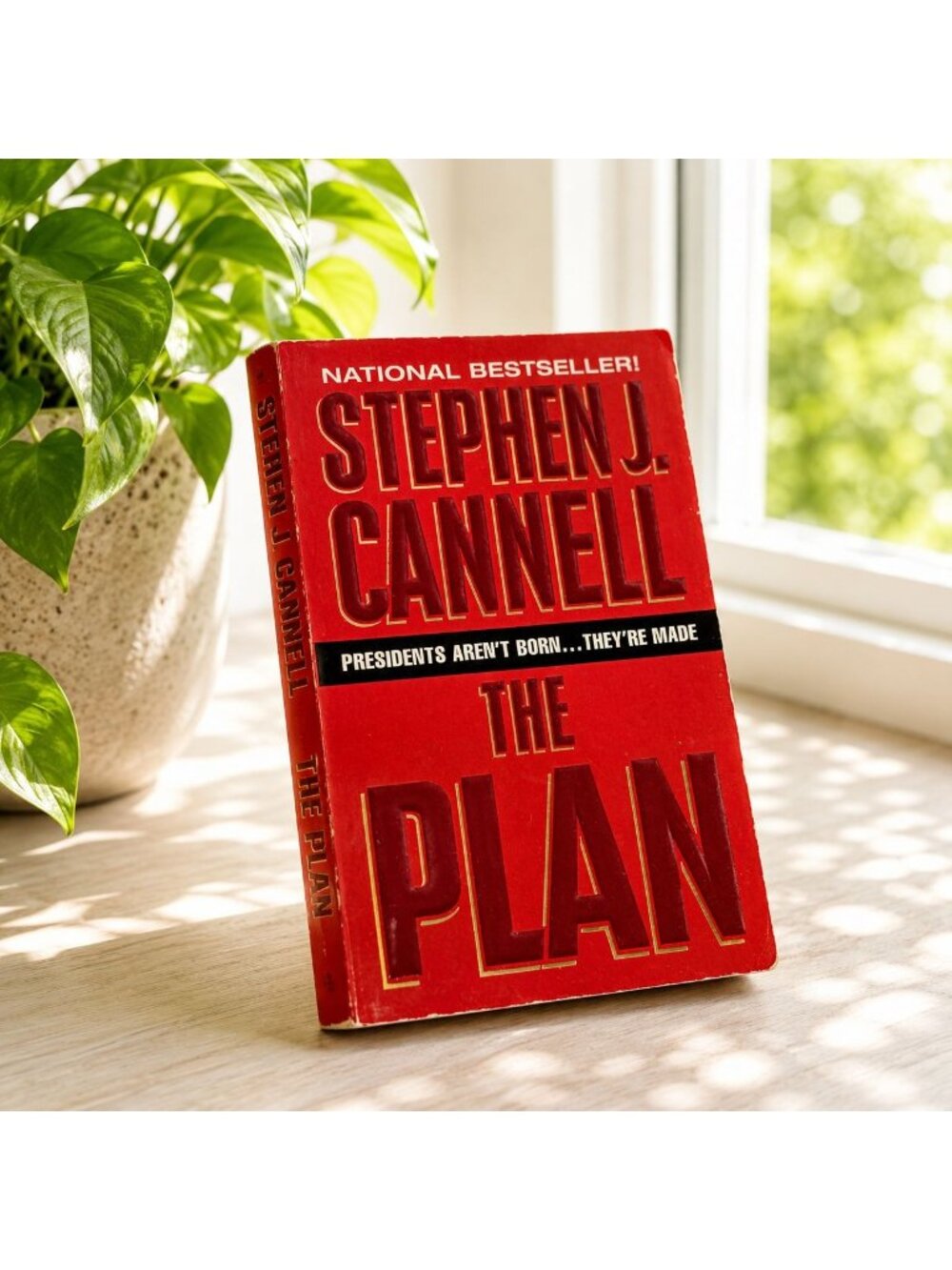 Stephen J. Cannell The Plan 1996 Paperback Vintage Novel Avon Books National Bes